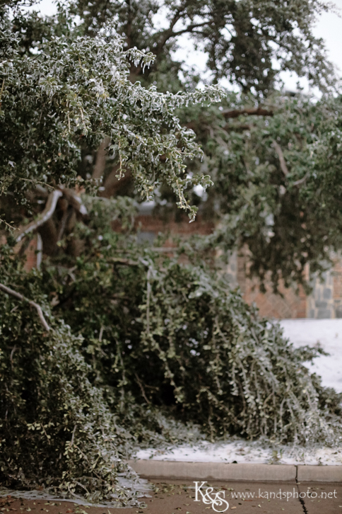 Dallas Wedding Photographers - K & S Photography